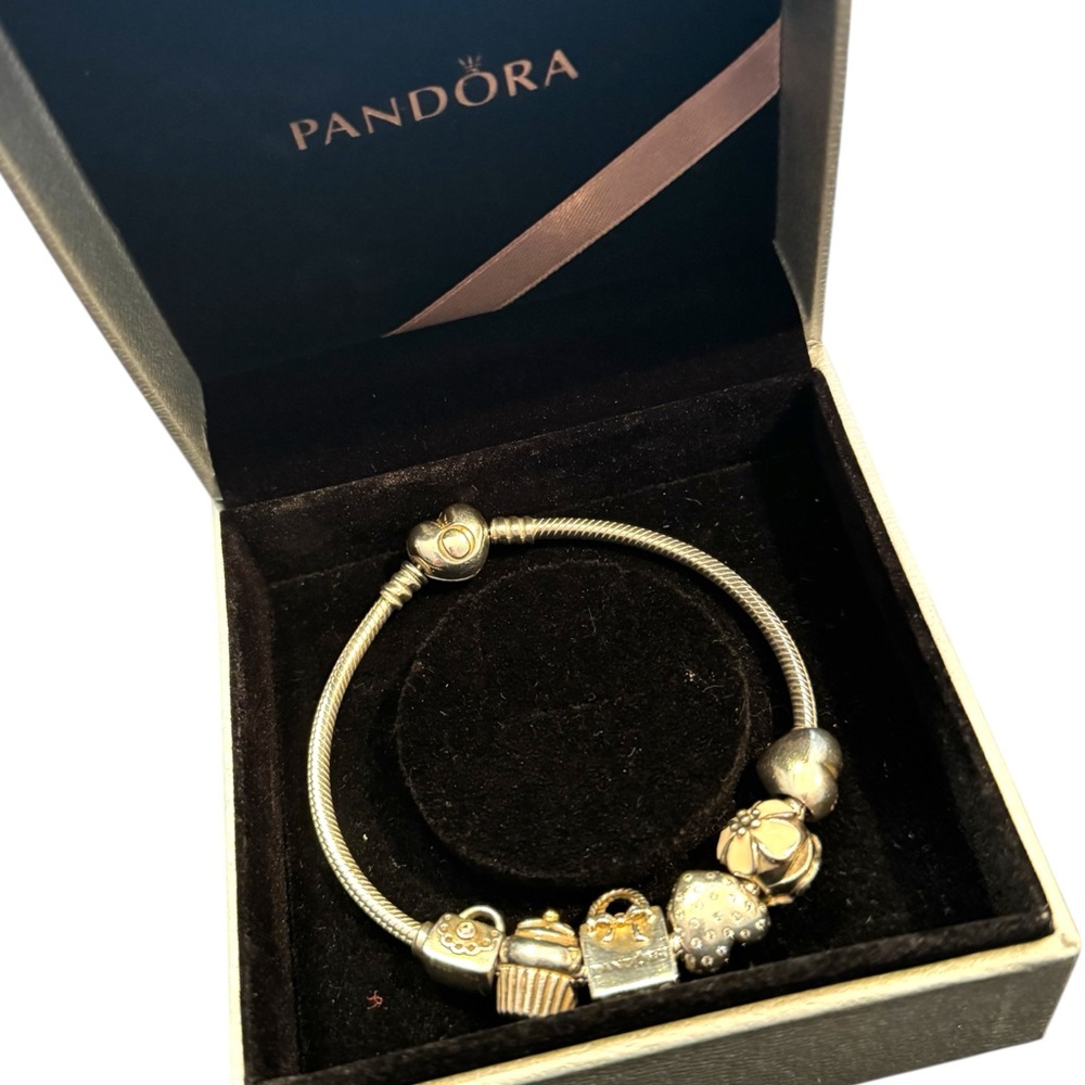 Elegant Pandora AUTHENTIC Retired 6 Charms Sterling Silver Bracelet